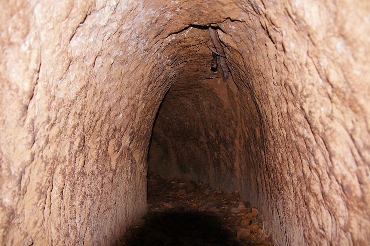 구치 터널